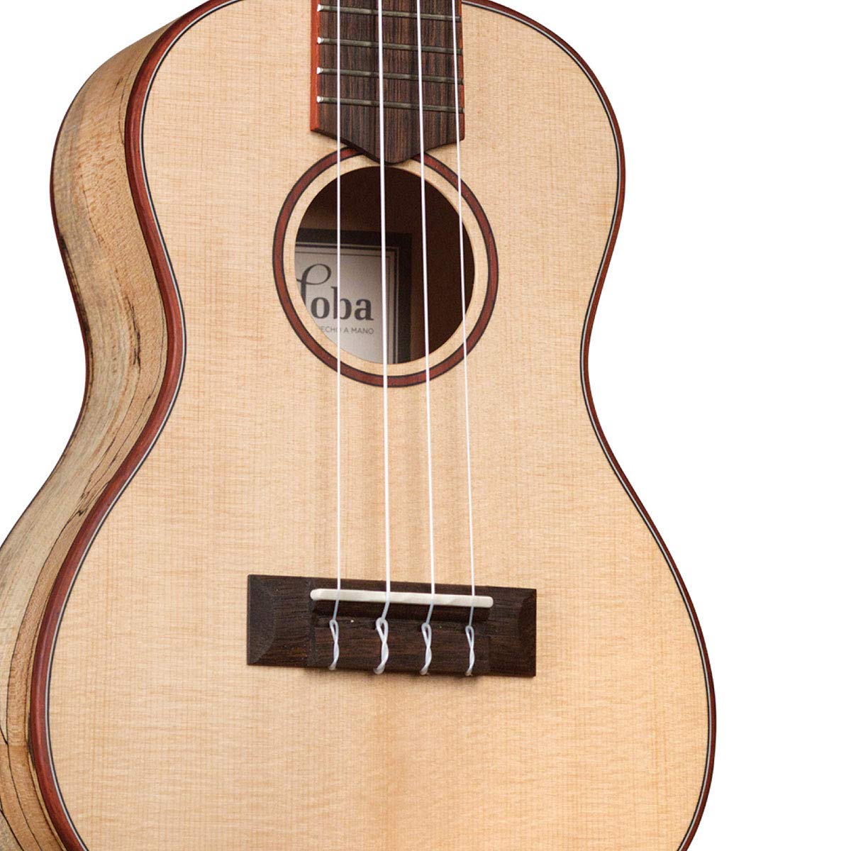 Amazon.co.jp: Cordoba (コルドバ) スプルーストップ コンサート
